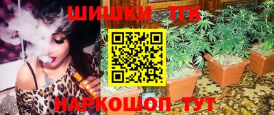 apvp Гусев