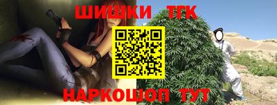 трава Сланцы