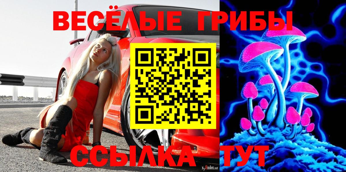 где купить наркоту  Галлюциногенные грибы Magic Shrooms  Вход с VPN  Мурино 